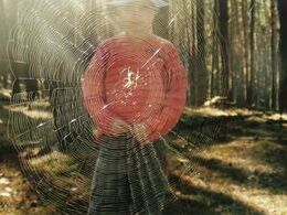 Andrej Cvečka - Mám ťa v sieti, brat môj (základné školy)