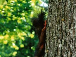 Dominik Bulko - Neobjavené tajomstvá (stredné školy)