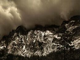 Marián Valovič ml. - Lesné nálady II (stredné školy, 1. cena)