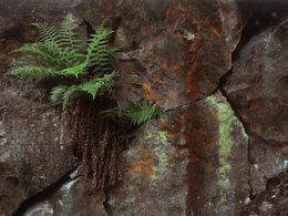 Barbora Bařinová - Živá skala (základné školy)