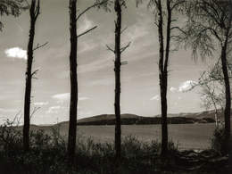 Jakub Ďurajka - Pätica dlhodobých priateľov (stredné školy, 1. cena)