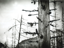 Jakub Ďurajka - Výnimočný jedinec (stredné školy, 1. cena)