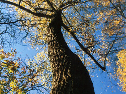 Lea Motošková - Bližšie k oblakom (základné školy)