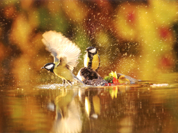 Lukáš Mičúch - Ranné osvieženie (stredné školy)