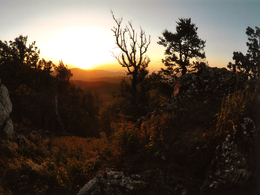 Lukáš Krajčo - Východ slnka na Vysokej (stredné školy, Cena Združenia zamestnávateľov lesného hospodárstva na Slovensku)