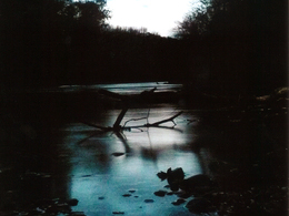 Mário Lupták - Zlaté vetvičky (základné školy, 3. cena)