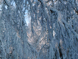 Mário Lupták - Biela krajina (základné školy)