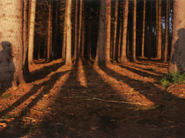 Martin Karpecki - Tieňové divadlo (stredné školy)