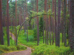 Timotej Kováčik - Skúšaný vetrom (stredné školy)