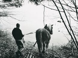 Anna Viktória Hudecová - Ťažký chlieb (základné školy, 3. cena)