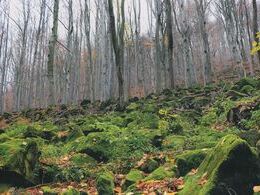 Dáša Takáčová - Ticho (stredné školy, 3. cena)