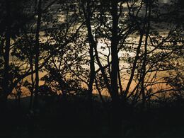 Erika Bialončíková - Melódia života (stredné školy)