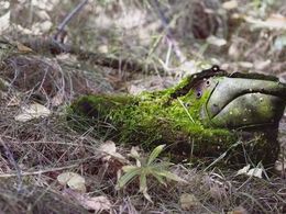 Šimon Hovanec - Módna vychytávka (stredné školy)
