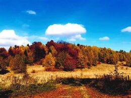 Adrian Petík - Jesenná paleta (základné školy)