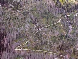 Agáta Čurná - Mikádo (stredné školy)