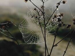 Dáša Takáčová - Ľahkosť dažďa (stredné školy)