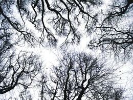 Ema Vysložilová - Až do neba I (základné školy, 2. cena)