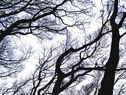 Ema Vysložilová  Až do neba II (základné školy, 2. cena)