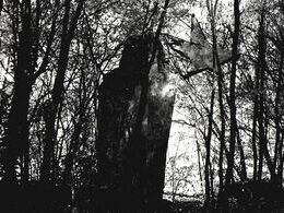 Eszter Erdélyi - Padajúca hviezda (základné školy)