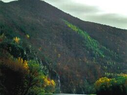 Kristína Dzuričková - Veľavravné ticho (stredné školy)