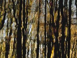 Mário Lupták - Zrkadlenie (základné školy, 1. cena)