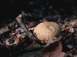 Markéta Vinklerová - Zostal som sám (stredné školy)