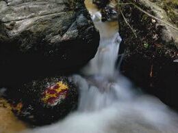 Martin Bohunský - Lesný potôčik (základné školy)