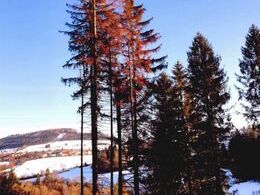 Martin Prášek - bez názvu (stredné školy, 2. cena)