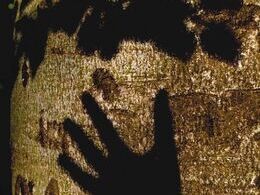 Matej Benčúrik - Túžba po živote (základné školy)