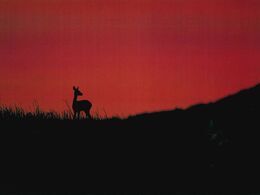 Norbert Benko - Keď slnko zájde (stredné školy)