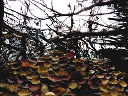 Patrícia Slabejová - Prístav listov (stredné školy)