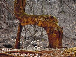 Radoslav Rohárik - Keď dvaja chcú byť spolu... (základné školy)