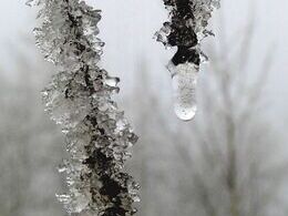 Richard Jandora - Zamrznutá kvapka (základné školy)