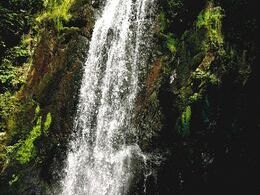 Veronika Basivová - Lesný vodopád (stredné školy)