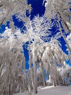 Alžbeta Bošková - Prasknuté zrkadlo (základné školy)