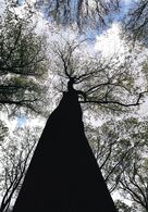 Anna Budzáková - Cesta (stredné školy)