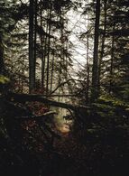 Bibi Varholíková - Nekonečno (stredné školy, 1. cena)