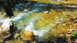 David Ščípa - Sila vody (základné školy, 3. cena)