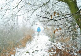 Eliška Brázdiková - Zimný pútnik (základné školy)