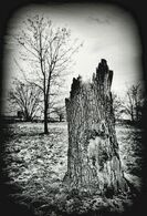 Eszter Erdélyi - Vzdialenosť (základné školy, Uznanie)