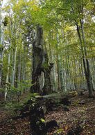 Kristína Roháriková - Čo zo mňa zostalo (základné školy)