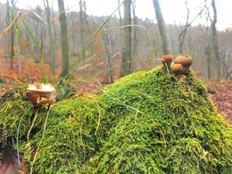 Lucia Mokrá - Susedia (základné školy)