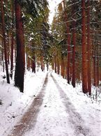 Martin Kavacký - Cesta . . . kam vedieš? (stredné školy)