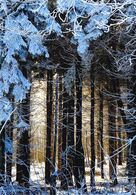 Matej Dujka - Brána do iného sveta (stredné školy)