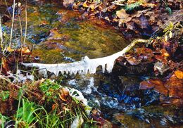 Matúš Ondro - Ľadový mostík (základné školy)