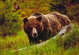 Tomáš Rúfus - Z očí do očí (stredné školy)