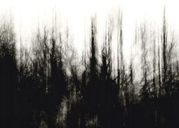 Vanda Bednaříková - Zimná impresia (stredné školy)