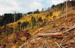 Kristián Sitár - Národné parky v súčasnosti (stredné školy)