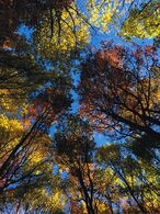 Lucia Mokrá - Jeseň nad hlavami (základné školy)