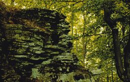 Martin Mikulec - Skalné mesto (základné školy)